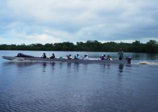 IHS dugout transports half a team up the Kruta River in Honduras.